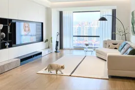 没错，就是不欢迎亲戚朋友，才把家装修成这样的图片