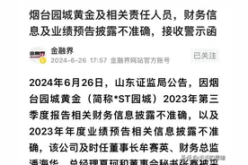 雷声远去！今日仅1家公司收函，而且是A股最小的公司，股价0.42图片