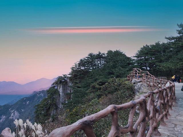 还看映山红？安徽大别山深处万株野生映山蓝正开，免费的蓝紫梦境