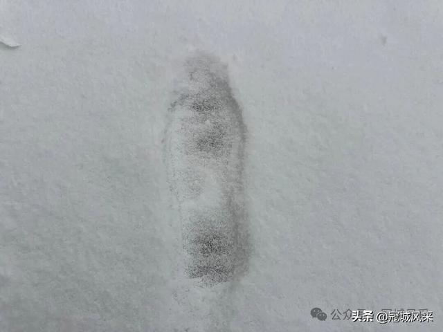 2025年冠县第一场冬雪