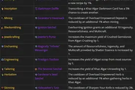 魔兽世界：暴雪推出11款38格背包，每一款都自带强力被动属性！图片