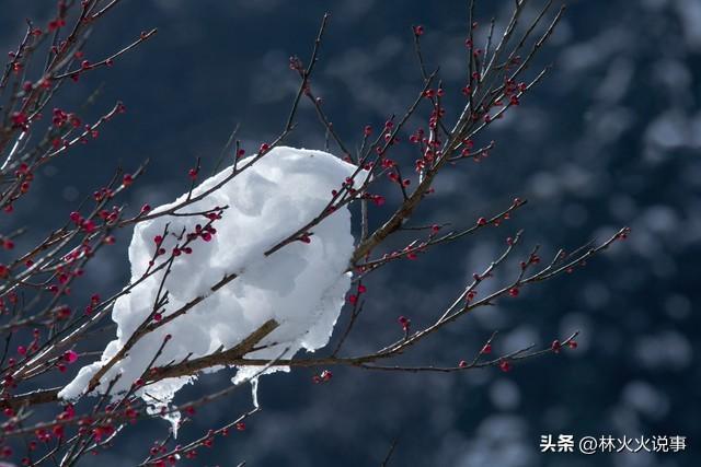 今日进一九，老话说“一九多晴天，坟头遍地起”，晴天有啥预兆？