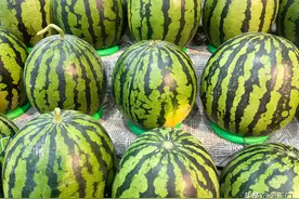 西瓜甜不甜，看一眼就知道了！学会这招一挑一个准，又甜又好吃！图片