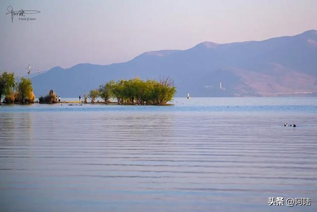 “登”洱海“神游”苍山，大理最闪耀的春日风景，也莫过于此了吧