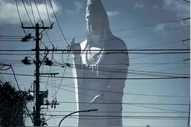 那些真实存在的“庞大巨物”，感觉让人巨物恐惧症都要犯了图片