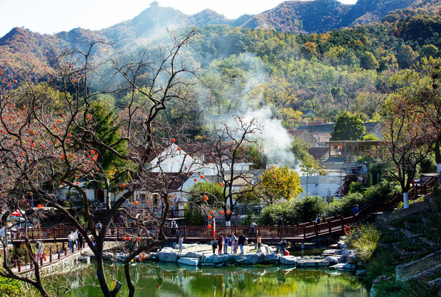 威海里口山秋日画卷 邀您来赏