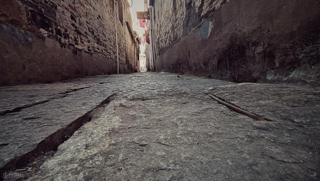 《安妮走四方》读书笔记