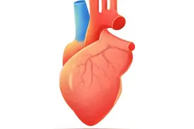 心脏彩超报告中的这几项，别忽视图片