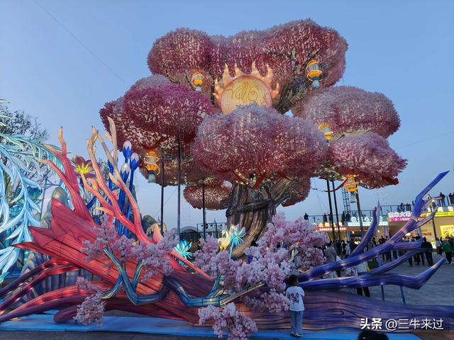 无为在歧路，淄博花灯齐彩城免票