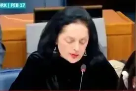 印度联合国会议质问五常还要掌权多久，印度入五常为何屡遭调戏图片