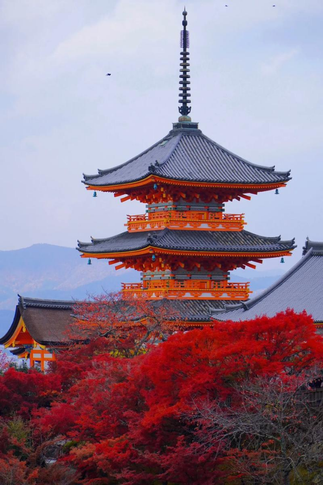 去了日本以后才知道，这里消费也太高了！分分钟刷爆余额