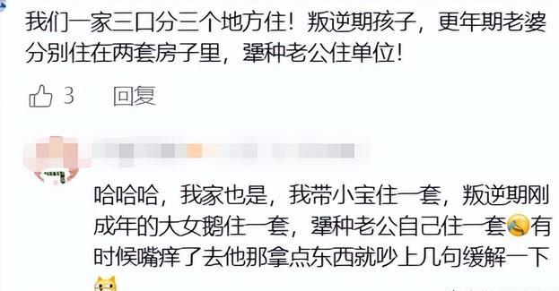 中年夫妻旅游，咋成了大型渡劫现场？