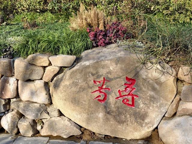 靓了！无锡老牌公园迎来“逆生长”