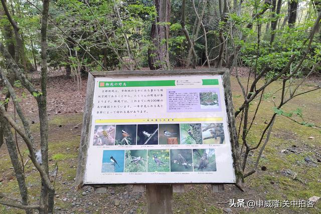 日本京都：漫步京都御苑公园
