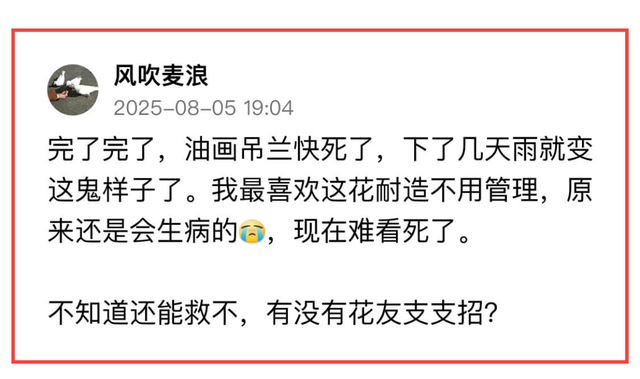 敢不敢来参加头条园艺pk赛