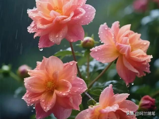 活着已经够累了,放过自己吧,12句人生过半,一定要好好善待自己