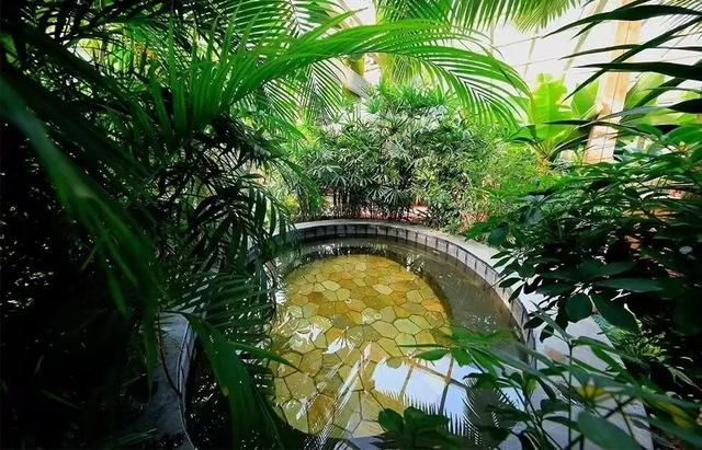 出门冻手冻耳朵！丰台室内去哪儿最温暖，戳——