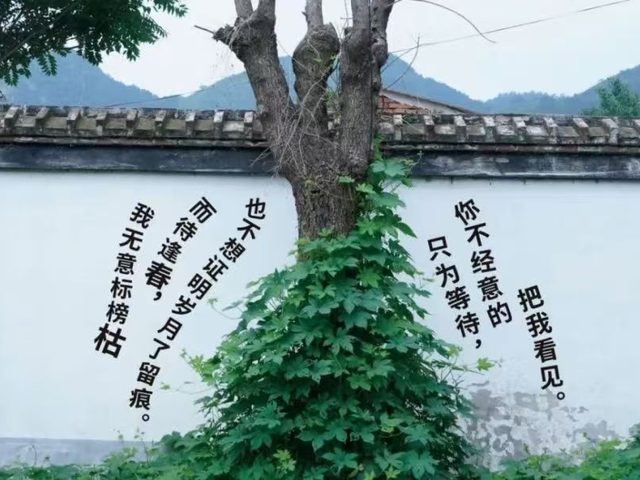 平谷区黄松峪乡：艺术赋能文旅产业升级