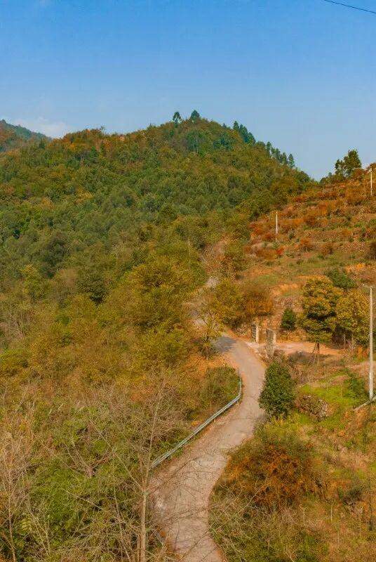 彭州这条“世界级”徒步线，走起！