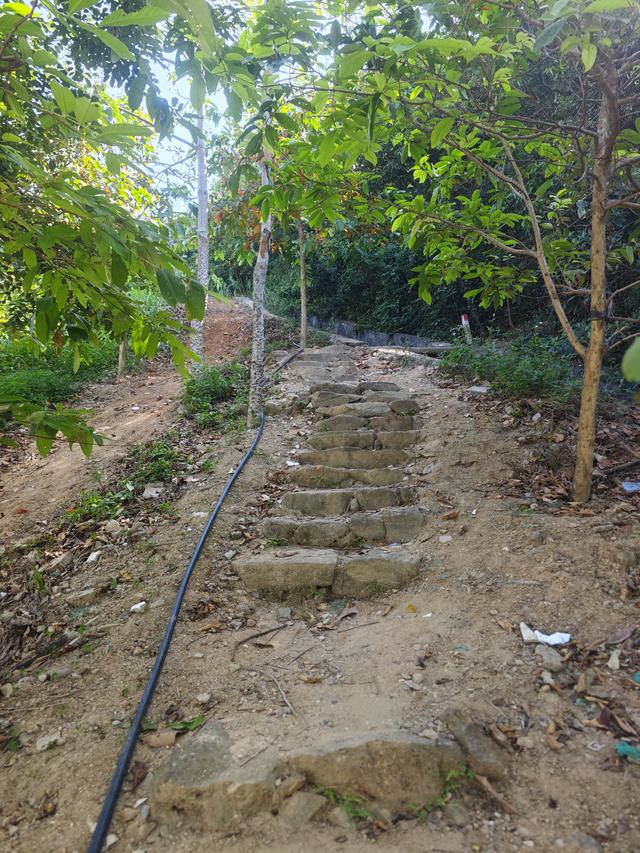 塘朗山郊野公园[绿平二路入口]骑行爬坡好地方