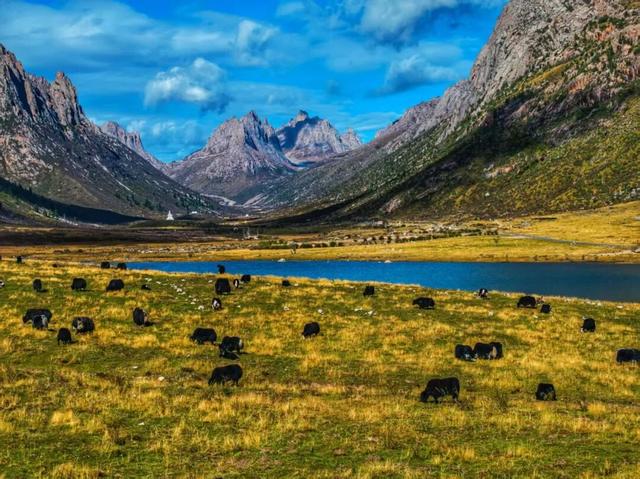 雪落神山，买一送一！莲宝叶则邀您共赴冬日秘境