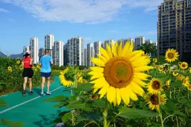 温州人注意：超38℃！高温橙色预警！图片