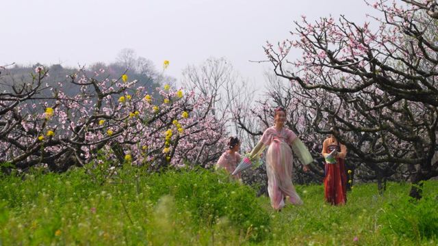 孝昌：许你一场春日“桃花源”