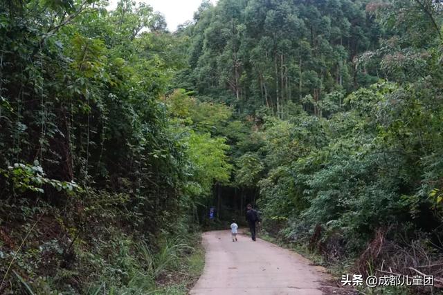 成都适合秋天的5条徒步线！随时出发