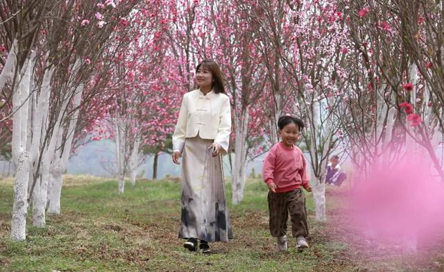 庆阳这5个地方，藏着黄土塬整个春天的密码！