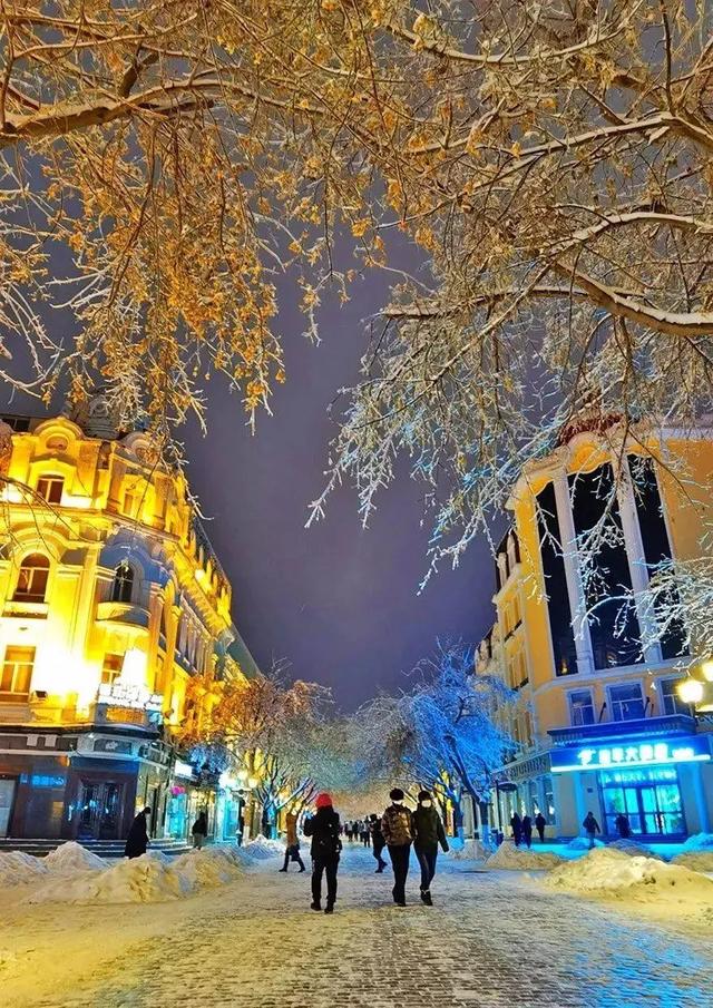 零下20℃的童话世界:哈尔滨冰雪季超全避坑与狂欢指南