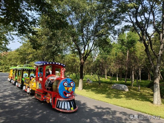 无为在歧路，国庆游淄博1