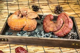 被称为“仙草”的灵芝，到底有什么作用？建议从这4个方面来了解图片