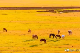 父母走后，家族里的这3种亲人，还比不上外人，别对他们太好图片