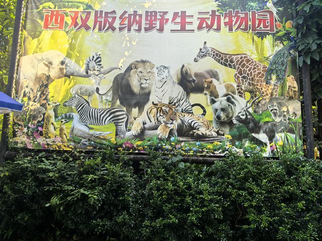 游览西双版纳热带动物园