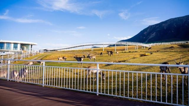 车在路上行，人在景中走：祁连山9号公路旅行记 第一站：神鹿公园