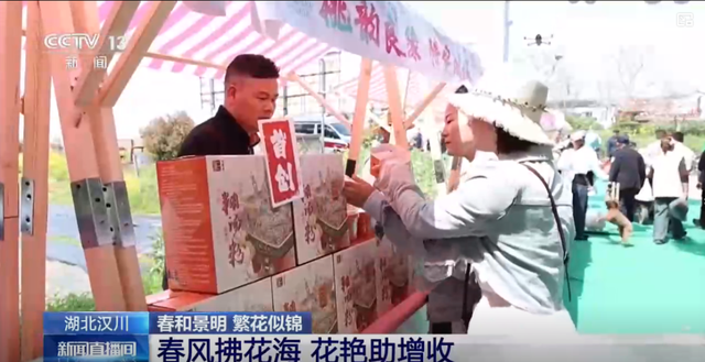 央视关注！汉川垌塚桃花文化旅游季美景出圈