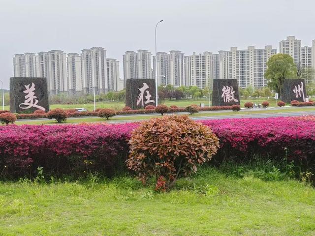 漫步黄山松掩山丛树杪，云隐仙踪徒步蹬道千阶