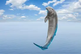 自然界动物智商排名图片