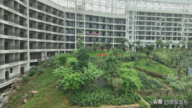 鹿泉：攻坚护航旅发大会！小三亚项目提前两月送电