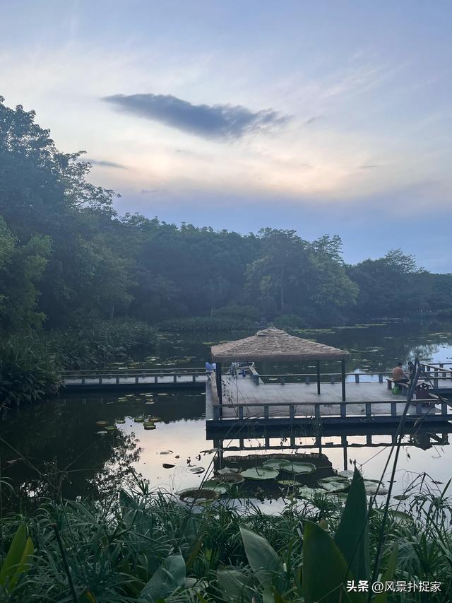 南宁青秀山，一个被名字耽误的景点！
