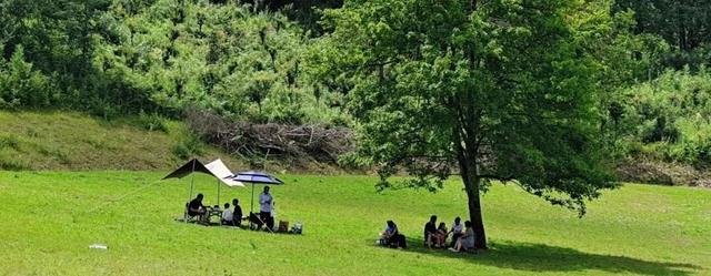 39项！宁强“双节”文旅活动出炉→