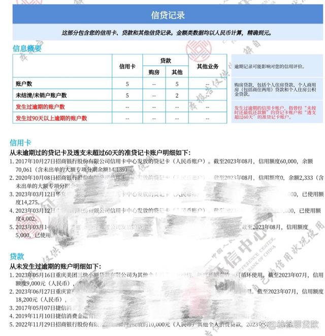 简版征信VS详版征信