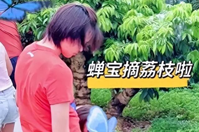 陈芋汐妈妈说对了！全红婵近况曝光，复出训练状态好，网友劝退役