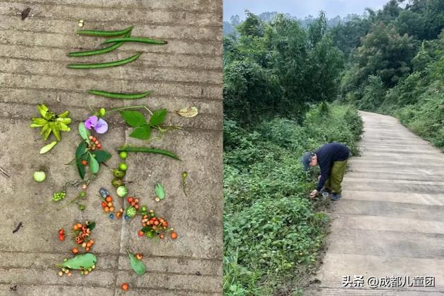 10条初秋徒步线路，去草甸、果园、森林里找秋天