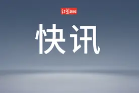 网红潘宏曾有刑事犯罪记录图片
