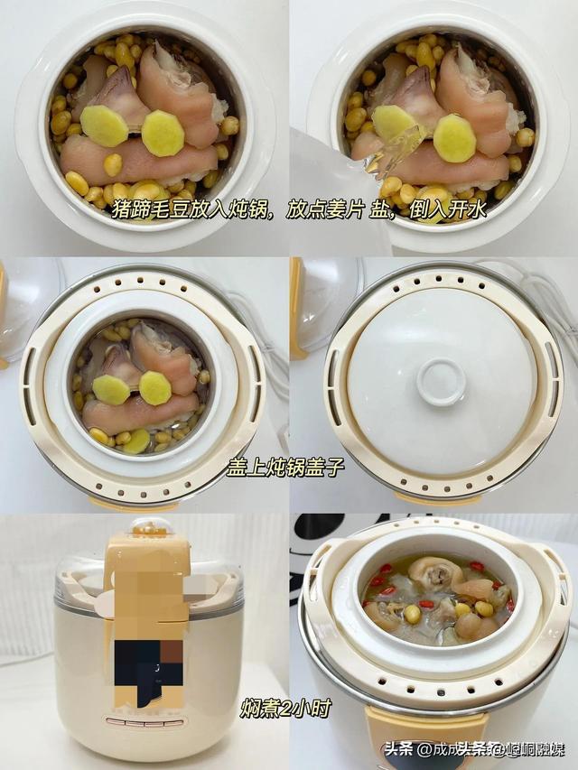 黄豆炖花胶 2026年花胶可以煲黄豆吗