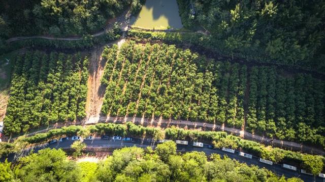 总投资1.5亿元！肇庆一文旅项目动工！未来还有这些惊喜→