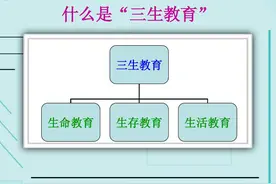 揭秘彩云之南的“三生教育”之谜，“小菌子们”到底做了什么？图片