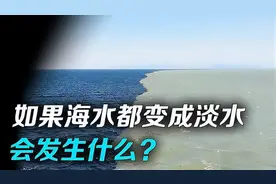 为什么海水是咸的？如果地球上的海水全变成淡水，会发生什么？图片