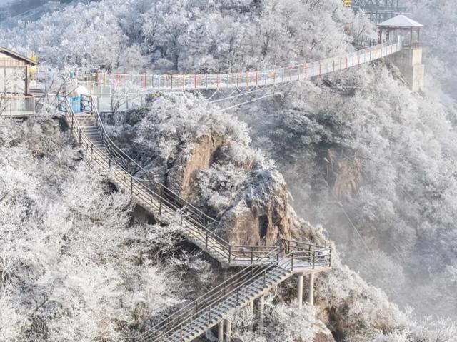 体荟四季丨出发！与小体一同解锁长三角3小时“滑雪圈”